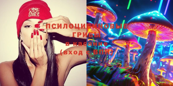 ECSTASY Видное