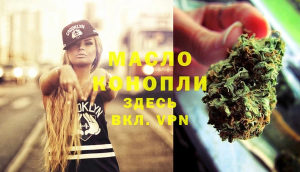 дживик Бородино